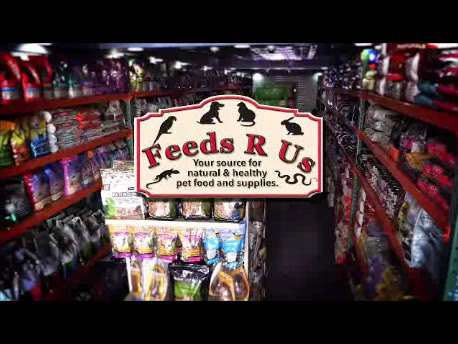 Jobs in Feeds R Us - reviews